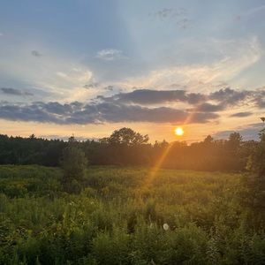 Meet your Posher, Eva